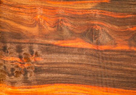 Bright colors of the  heartwood from tropical Thailand.の写真素材