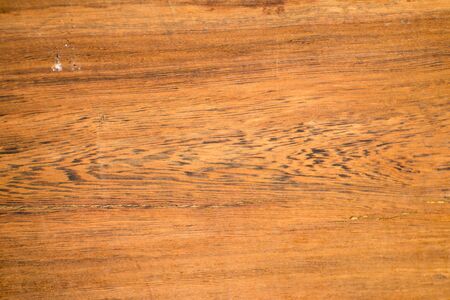 Bright colors of the  heartwood from tropical Thailand.の写真素材