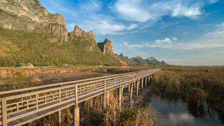 lotus pond nature park Sam Roi Yod in Thailandの写真素材