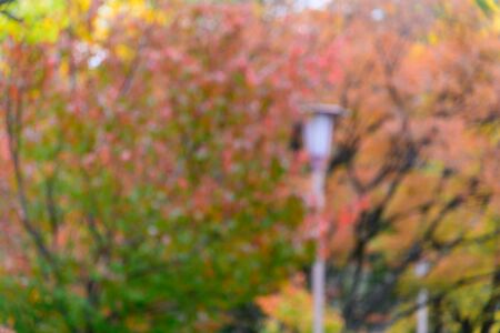 Abstract Blur Autumn garden out of focus backgroundの写真素材