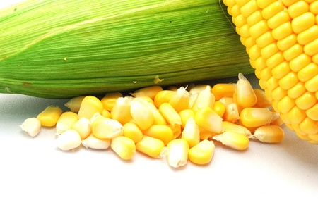 Close up yellow cornの写真素材