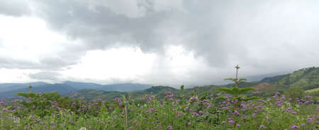 mountain sceneryの素材