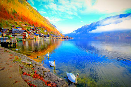 Leaves color change beside the Hallstatt Seaの写真素材