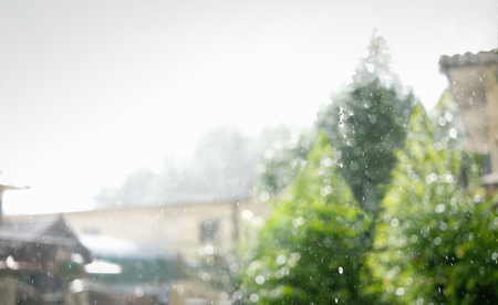 Defocused landscape winter season at a village with christmas trees backgroundの写真素材