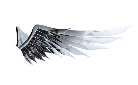 Mirror beautiful angel wing isolated on white background with clipping path