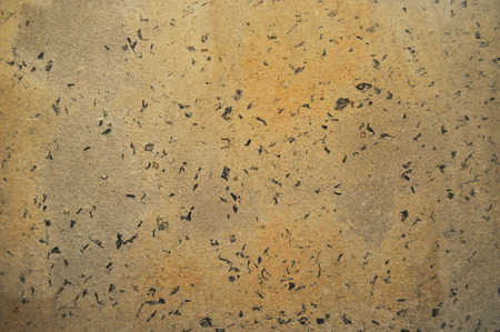 design of wallの写真素材