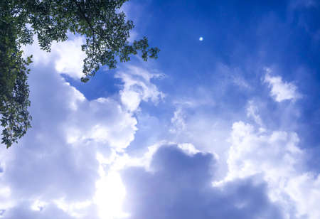 look up the sky will see leaf cloud and moonの写真素材
