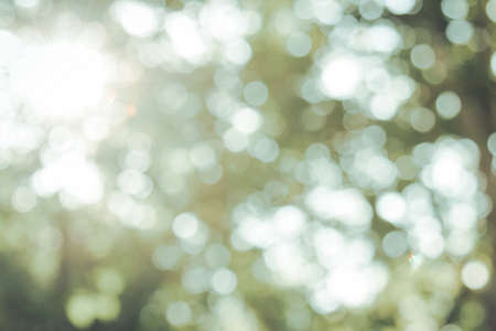 Natural bokeh background for creative workの写真素材
