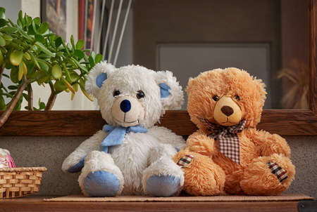love teddy bearsの写真素材