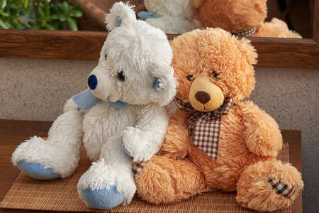 love teddy bearsの写真素材