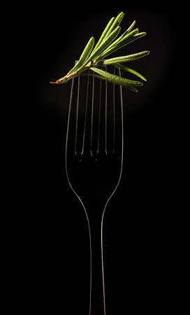 The Fork with Sprig of Rosemary on Black Background