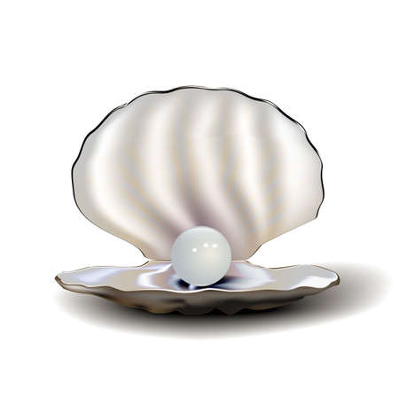 Realistic mother of pearl shell with pearl and shadow, isolated on white background.の写真素材