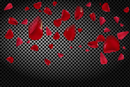 Background with flying red rose petals on a transparent background.のイラスト素材