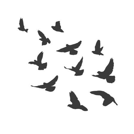 Silhouette flying birds on white background. Pigeons fly.のイラスト素材