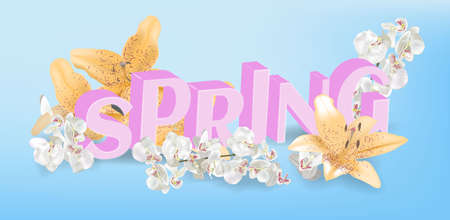 Inscription Spring Time on backgroundの写真素材