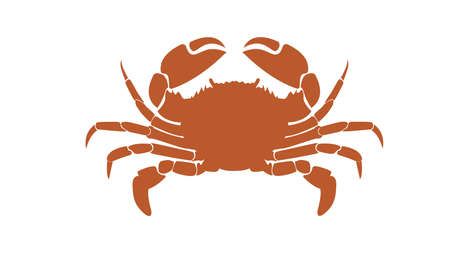 Red crab painted on white background, vectorの写真素材
