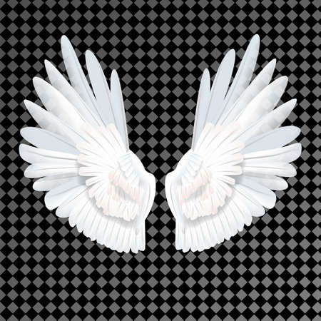 Realistic white wings on transparent background vectorのイラスト素材