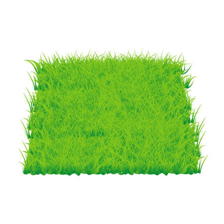 Rectangle green grass banner 3d. vector backgroundのイラスト素材