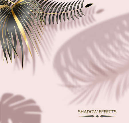 The shadow of the window frame and leaves of tropical plants, natural light interior design, vector illustrationのイラスト素材