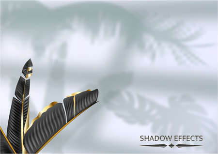 The shadow of the window frame and leaves of tropical plants, natural light interior design, vector illustrationのイラスト素材