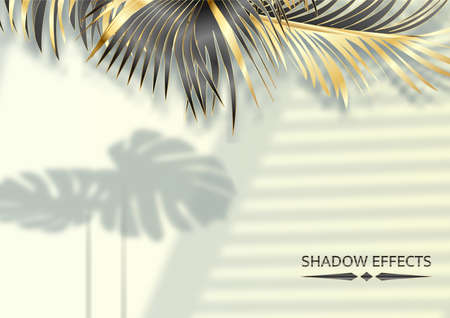 The shadow of the window frame and leaves of tropical plants, natural light interior design, vector illustrationのイラスト素材