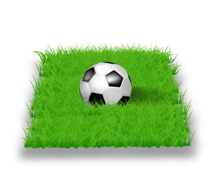 Soccer ball on grass in 3D, vector illustrationのイラスト素材