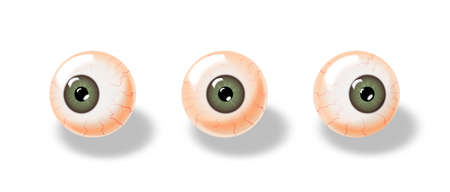 set of realistic eyes with different gaze direction. vector illustrationのイラスト素材