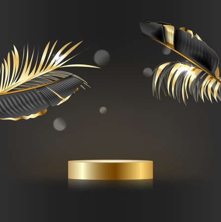 Minimal scene with geometric shapes. cylindrical podium on a black background with gold leaves.のイラスト素材