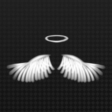 Abstract symmetry bird wings line luxury white color isolated on dark background.のイラスト素材