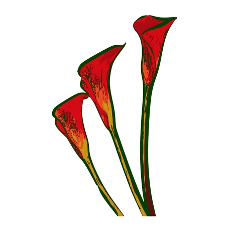 Flowers - vectorのイラスト素材