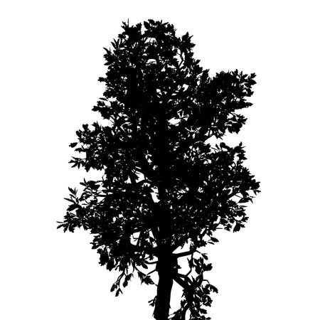 Tree. Isolated. Silhouetteのイラスト素材