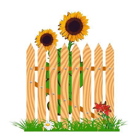 wooden fence and sunflowers - vectorのイラスト素材