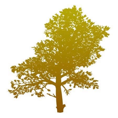 Tree. Isolated - vectorのイラスト素材