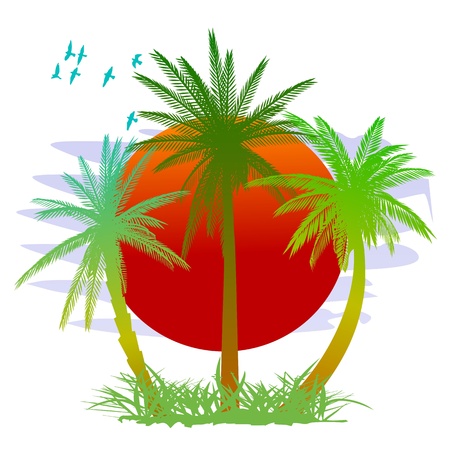 Palms, sun and birds - vectorのイラスト素材