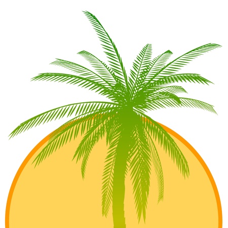 Palm and sun - vectorのイラスト素材