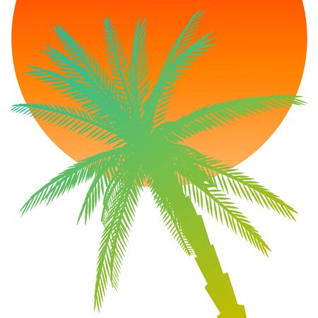 Palm and sun - vectorのイラスト素材