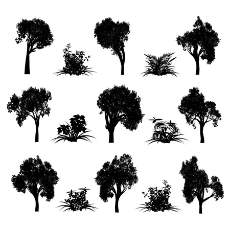 Trees and bush のイラスト素材