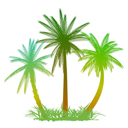 Palms and grass - vectorのイラスト素材