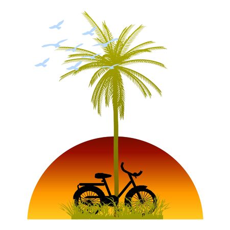 palm and bicycleのイラスト素材