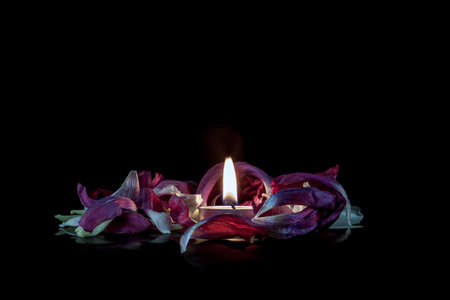 candle in flowersの写真素材