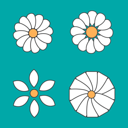 Floral design vector collection white.のイラスト素材