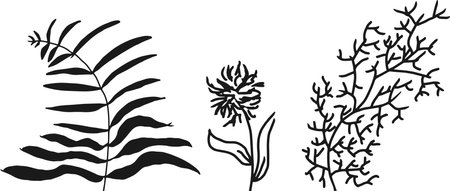 Botanical arts. Hand drawn continuous line drawing of abstract flower, and branch. hand drawing of botanical or flower.のイラスト素材