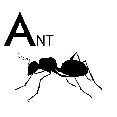 ALPHABET A WITH ANT EXAMPLE SILHOUETTEのイラスト素材