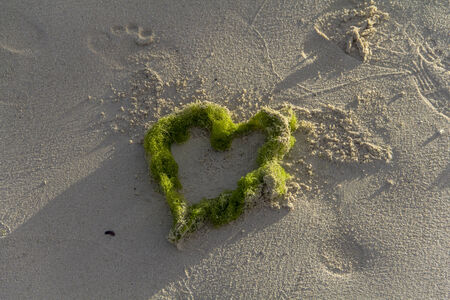 heart on the sand with seaweedの写真素材