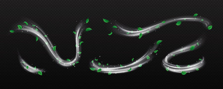 Silver dust and leaves whirls realistic vector illustration set. Fairy flows with foliage and sparkles 3d elements on transparent backgroundのイラスト素材