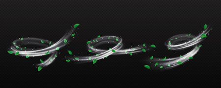 Silver dust and leaves whirls realistic vector illustration set. Fairy flows with foliage and sparkles 3d elements on transparent backgroundのイラスト素材