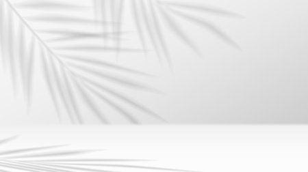 Palm leaves casting shadows on studio wall realistic vector illustration. Product advertising empty space 3d backdrop black and whiteのイラスト素材