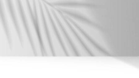 Palm leaves casting shadows on studio wall realistic vector illustration. Product advertising empty space 3d backdrop black and whiteのイラスト素材