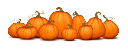 Orange pumpkins with stems realistic color objects composition. Rich harvest of farm vegetables 3d illustration on white backgroundのイラスト素材