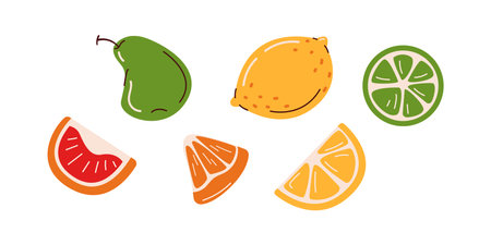 Flat vector illustration of different citrus fruit slices including grapefruit, orange, lemon, and lime. Simple modern fruit representation.のイラスト素材